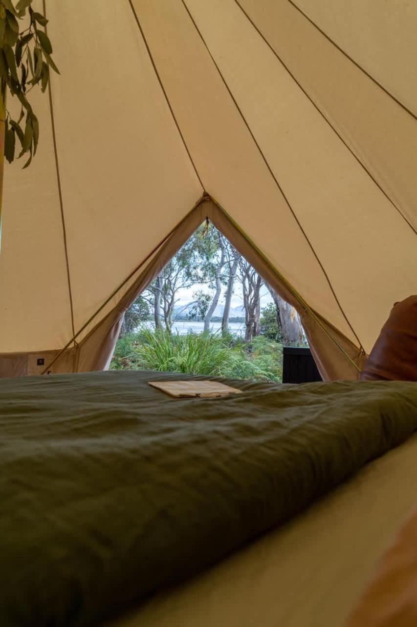 מלון קולאס ביי Numie - Freycinet Peninsula - Glamping - Heated - Waterfront מראה חיצוני תמונה