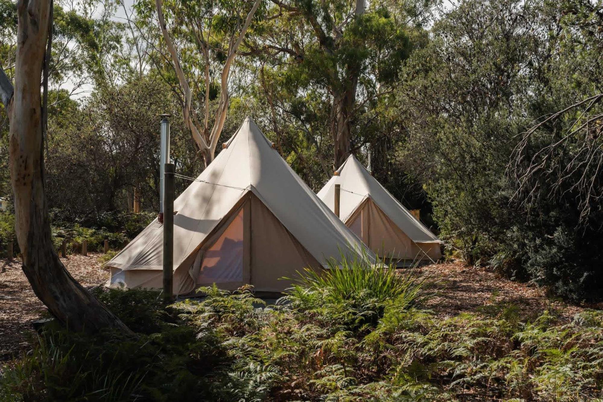 מלון קולאס ביי Numie - Freycinet Peninsula - Glamping - Heated - Waterfront מראה חיצוני תמונה