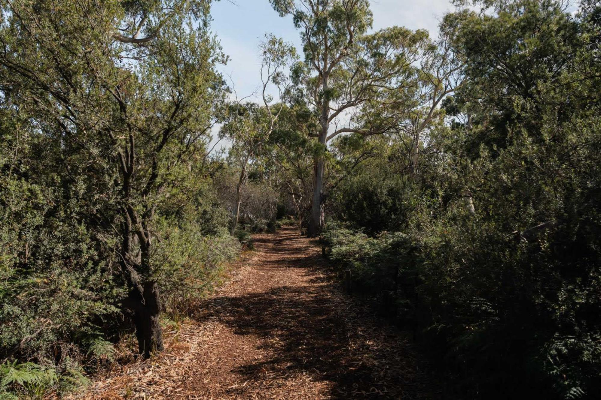 מלון קולאס ביי Numie - Freycinet Peninsula - Glamping - Heated - Waterfront מראה חיצוני תמונה