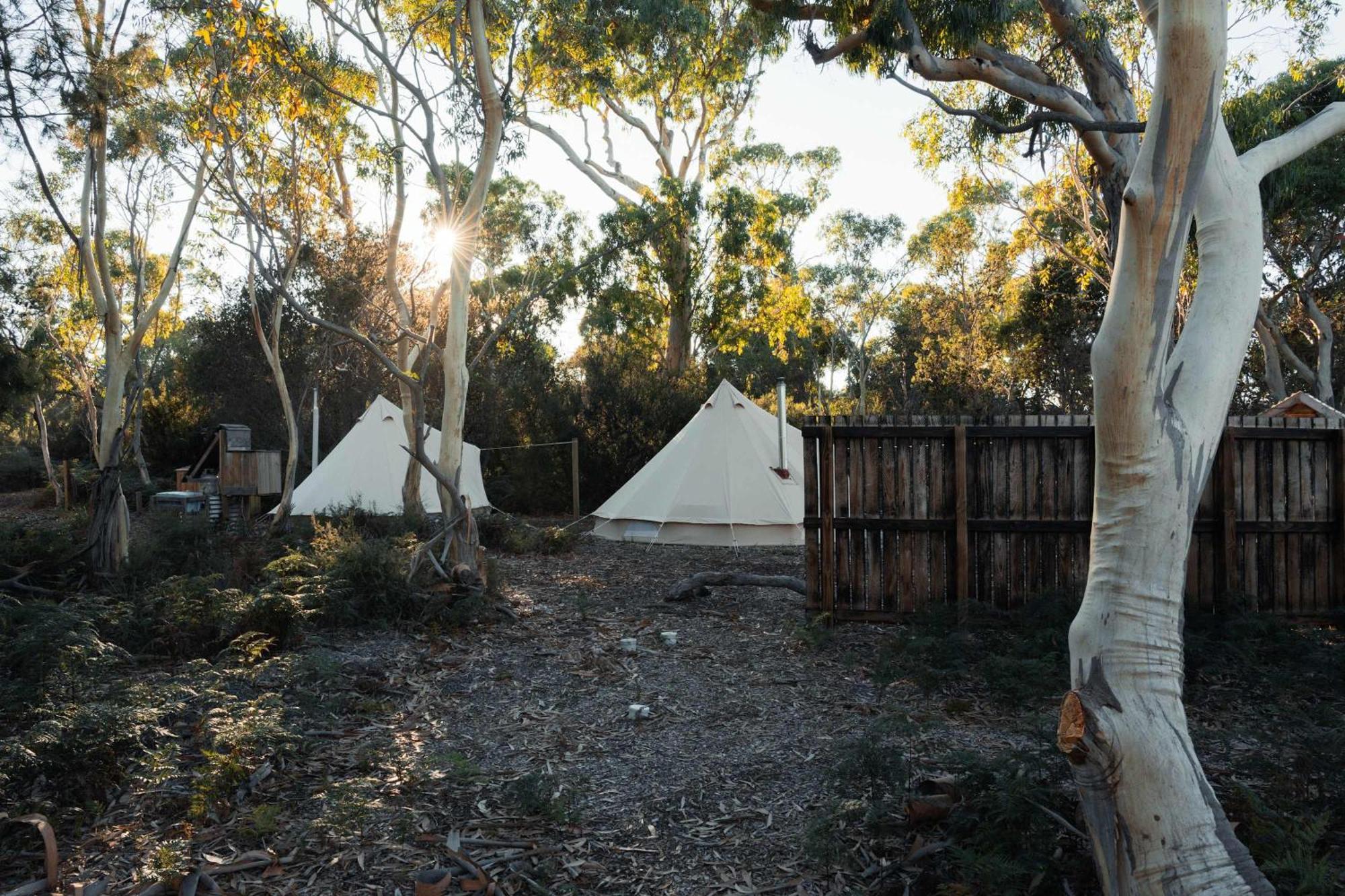 מלון קולאס ביי Numie - Freycinet Peninsula - Glamping - Heated - Waterfront מראה חיצוני תמונה