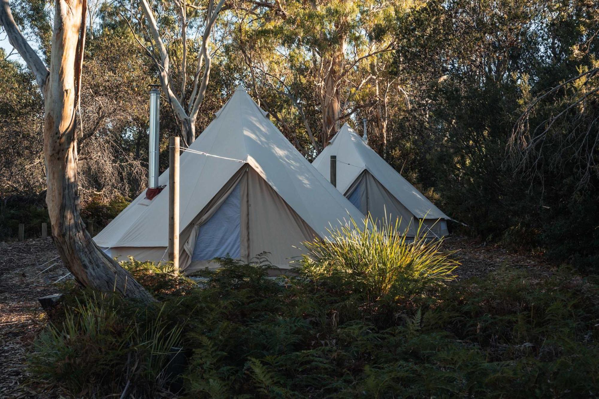 מלון קולאס ביי Numie - Freycinet Peninsula - Glamping - Heated - Waterfront מראה חיצוני תמונה