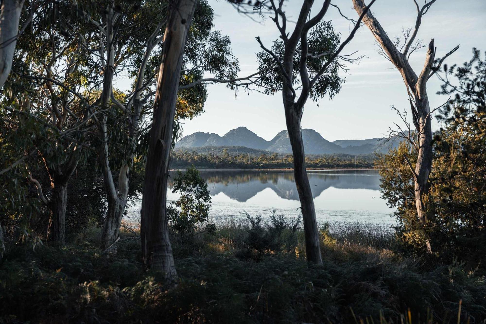 מלון קולאס ביי Numie - Freycinet Peninsula - Glamping - Heated - Waterfront מראה חיצוני תמונה