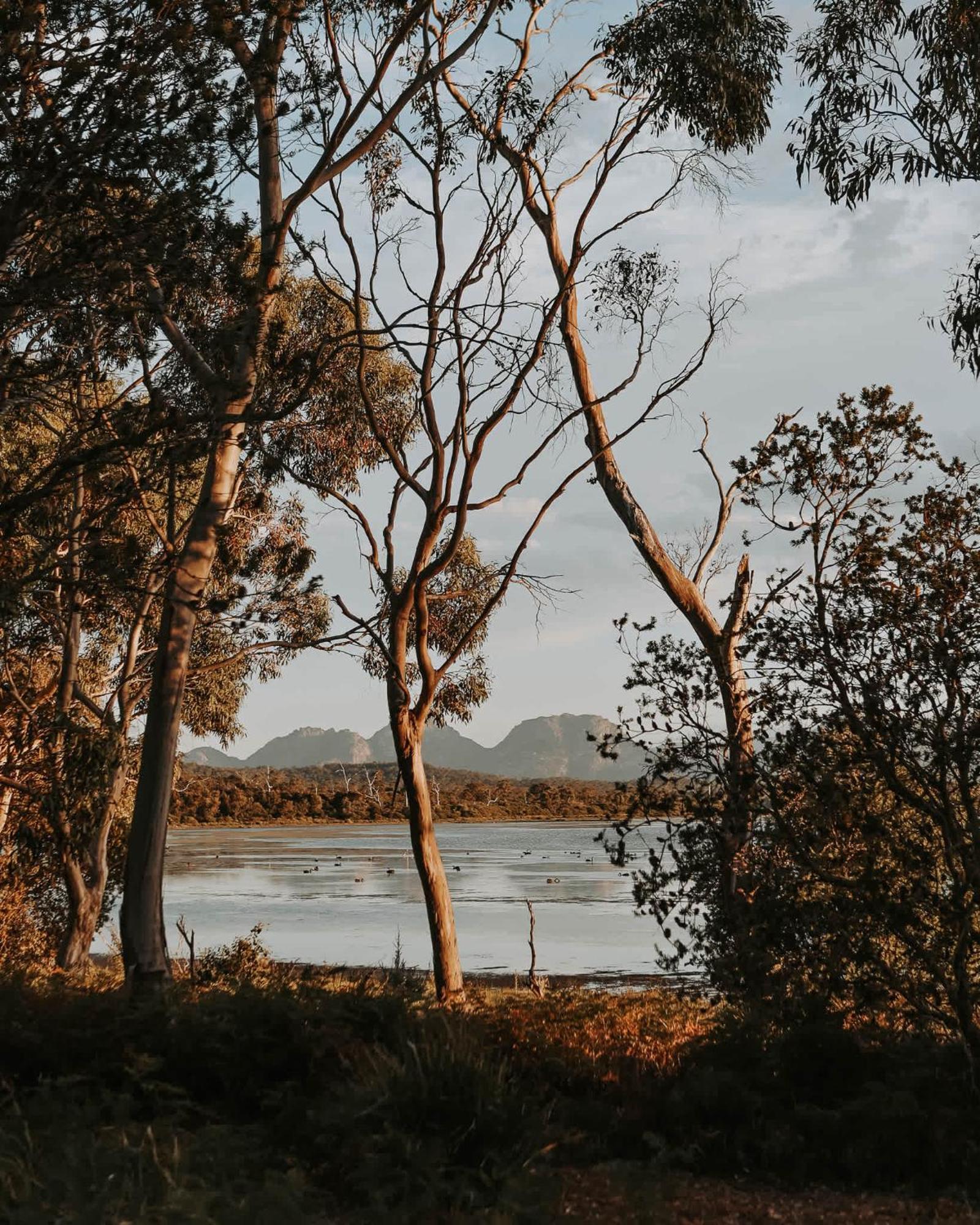 מלון קולאס ביי Numie - Freycinet Peninsula - Glamping - Heated - Waterfront מראה חיצוני תמונה
